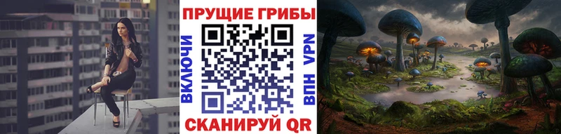 закладки  Бодайбо  ссылка на мегу как войти  Псилоцибиновые грибы Psilocybine cubensis 